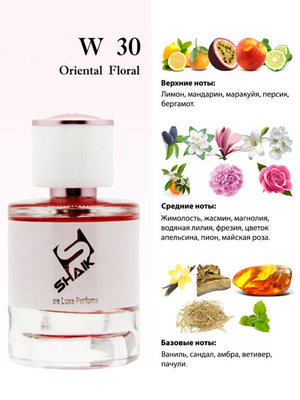  Shaik Shaik W30 (Chanel Allure for Women), 50 ml NEW (,  1)