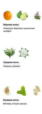  Shaik  Shaik M177 Shaik Chic 70, 25 ml. (,  2)