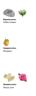  Shaik  SHAIK /    393 Crystal Flowers Montale, 25 . (,  2)