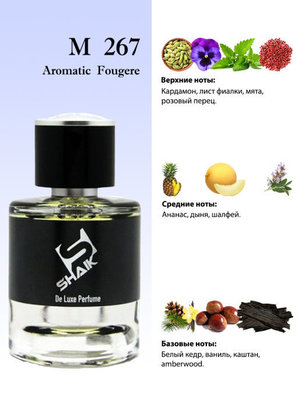  Shaik  SHAIK /    267 Stronger With You  Emporio Armani, 25 . (,  2)
