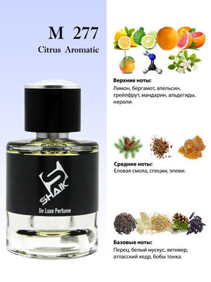  Shaik  SHAIK /    277 Chanel Allure homme Sport Cologne, 25 . (,  2)