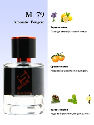  Shaik  SHAIK /    79 Versace Versace Pour Homme, 25 . (,  2)