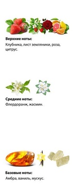  Shaik  SHAIK /    210 Montale Rose Elixir 25  (,  2)
