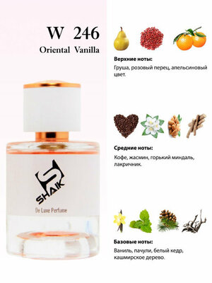  Shaik Shaik W246 (Yves Saint Laurent Black Opium), 100 ml NEW (,  1)