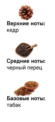  Shaik Shaik  511 (Ziel Roz Fic), 50 ml NEW (,  1)