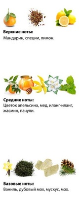  Shaik SHAIK /    153 Montale Orange Flowers 20 . (,  2)