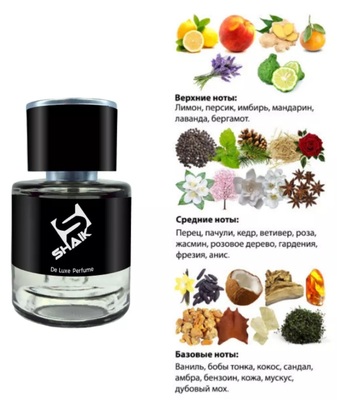  Shaik  SHAIK /    275 Chanel Allure Homme, 25 . (,  1)