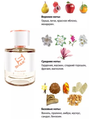  Shaik Shaik W304 (Sexy Little Things Noir Tease Victoria's Secret), 50 ml NEW (,  1)