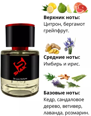  Shaik  SHAIK /    277 Chanel Allure homme Sport Cologne, 25 . (,  1)
