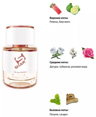 Shaik  SHAIK /    172 Nina Ricci Ricci Ricci, 25 . (,  1)