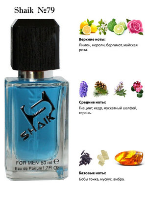  Shaik SHAIK /    79 Versace Versace Pour Homme, 50 . (, Shaik 79 Versace Versace Pour Homme, 50 .)