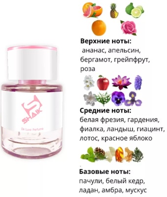  Shaik  SHAIK /   290 Zen Shiseido, 25 . (,  1)