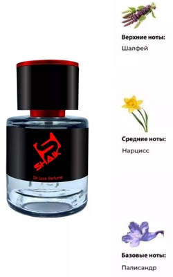  Shaik SHAIK /   Shaik  621 HERMES H24, 25  tester (,  1)