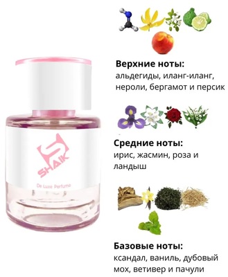  Shaik  SHAIK /    34 Chanel 5, 25 . (,  1)