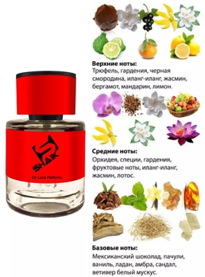 Shaik  Shaik MW89 (Tom Ford Black Orchid), 25 ml (,  1)