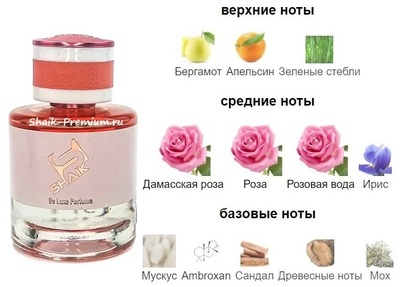  Shaik Shaik W482 ( Lancome La Vie Est Belle Rose Extraordinaire ), 50 ml NEW (,  1)