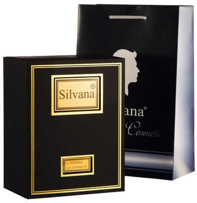  Silvana Silvana M803 Dior Homme Sport ( MN05 Cosmos ) 100  + 30  (,  4)