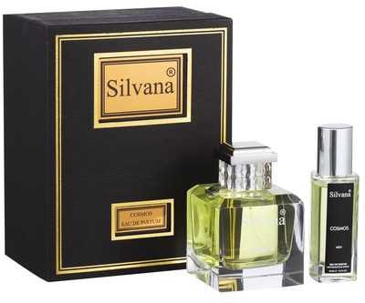  Silvana Silvana M803 Dior Homme Sport ( MN05 Cosmos ) 100  + 30  (,  2)