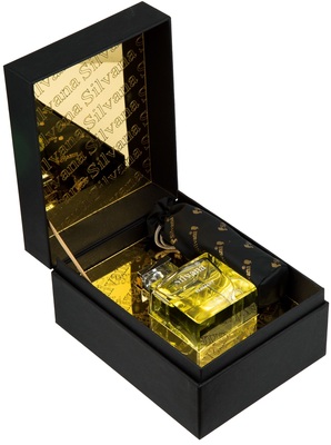  Silvana Silvana M841 Hermes Terre d Hermes ( MN13 Earth Passion ) 100  + 30  (,  3)