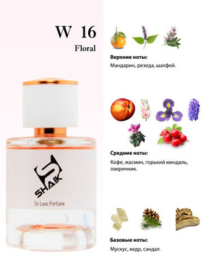  Shaik  Shaik W16 (Burberry Weekend), 25 ml (,  3)