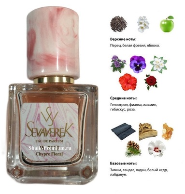  Sevaverek Sevaverek /   W5132 Lacoste Pour Femme 30  (,  3)