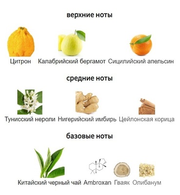 ���������� Shaik SHAIK / ����������� ���� Louis Vuitton Imagination Limited, 10 ��. (����, ��� 1)