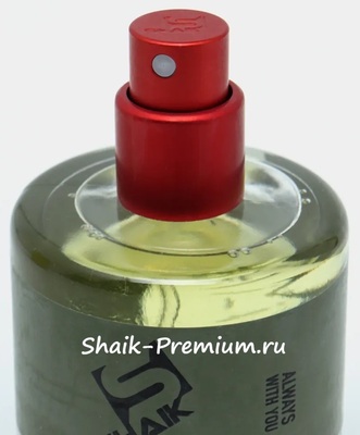 ���������� Shaik SHAIK / ����������� ���� DUBAI 1 Limited, 25 ��. (����, ��� 5)