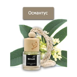  Shaik Shaik    8 ml.  2