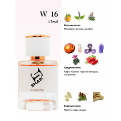  Shaik  Shaik W16 (Burberry Weekend), 25 ml (-).  2
