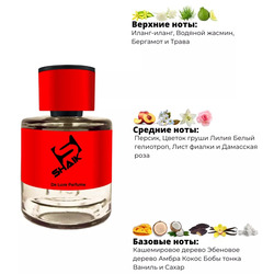  Shaik Shaik  205 (TIZIANA TERENZI Andromeda), 50 ml NEW.  2