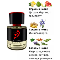  Shaik  SHAIK /    277 Chanel Allure homme Sport Cologne, 25 ..  2