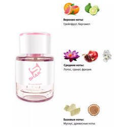  Shaik SHAIK /    408 Christian Dior Addict Eau Fraiche, 25 . Tester.  2