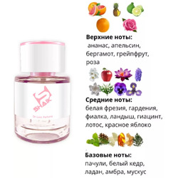  Shaik  SHAIK /   290 Zen Shiseido, 25 ..  2