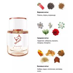  Shaik  SHAIK /    256 Amouage Honour Woman, 25 ..  2