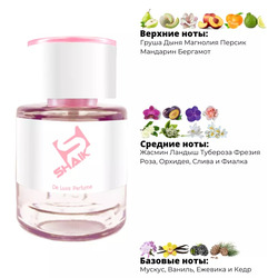  Shaik  SHAIK /    56 Calvin Klein EUPHORIA FOR WOMEN, 25 ..  2