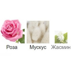   Silvana   Silvana W329 Montale Roses Musk 6 .  2