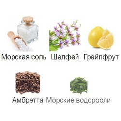  Silvana Silvana U121 Jo Malone Wood Sage & Sea Salt ( UN05 Magnetic Wave ) 100  + 30 .  2