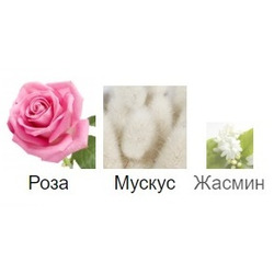  Silvana Silvana W329 Montale Roses Musk ( WN01 Entice ) 100  + 30 .  2