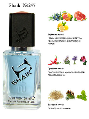  Shaik SHAIK /   247 K by DG 50  (, Shaik 247 K by Dolce & Gabbana 50 )