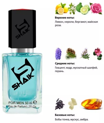  Shaik SHAIK /    79 Versace Versace Pour Homme, 50 . ()