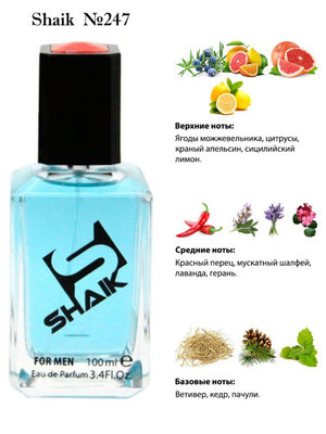  Shaik SHAIK /    247 DG King 100 . ()