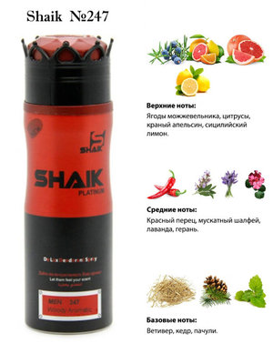  Shaik SHAIK /    247 DG King, 200 . ()