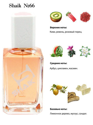  Shaik SHAIK /    66 DG "3 L'lmperatrice", 100 . (, Shaik 66 Dolce & Gabbana 