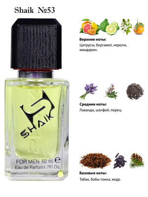  Shaik SHAIK /   53 DG Pour Homme, 50 . (, Shaik 53 Dolce Gabbana Pour Homme, 50 .)