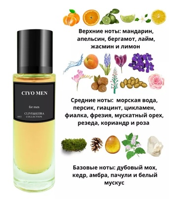  Clive&Keira Clive&Keira /   1011 GIORGIO ARMANI AQUA DI GIO MEN 30ml ()