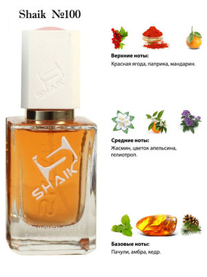  Shaik SHAIK /   100 Givenchy Absolutely Irresistible 50  ()