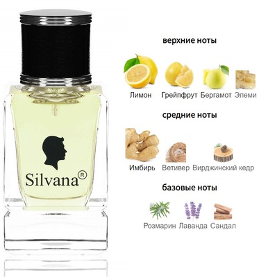  Silvana Silvana M803 Dior Homme Sport 50  ()