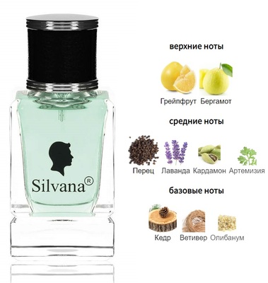  Silvana Silvana M806 Givenchy Blue Label Pour Homme 50  ()