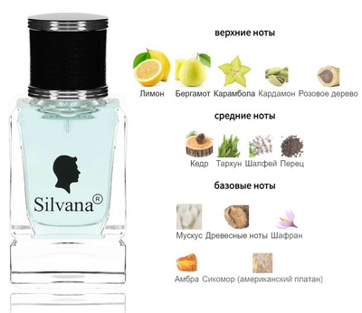 Silvana Silvana M810 Versace Eau Fraiche Man 50  ()