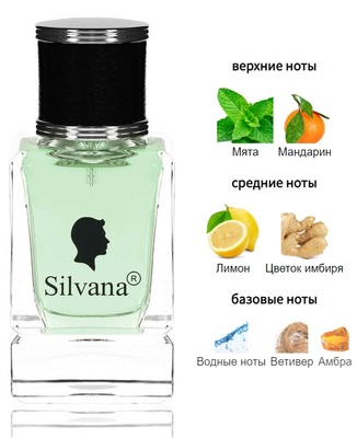  Silvana Silvana M827 Giorgio Armani Code Sport Men 50  ()